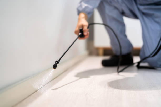 Bed Bug Pre-Treatment Preparation Assessment in Kingston Estates