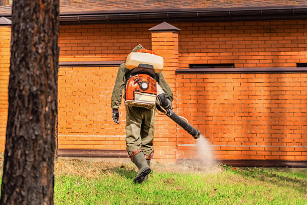 Bed Bug Clearance Verification and Documentation in Kingston Estates